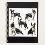 Boston