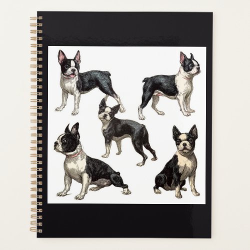 Boston Terrier  Planner