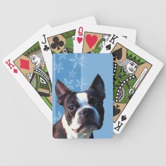 Boston Terrier playing cards