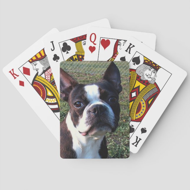 Boston_Terrier.png Poker Cards (Back)