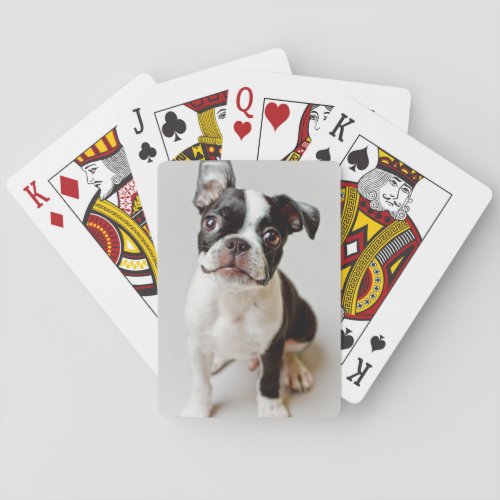 Boston Terrier Poker Cards