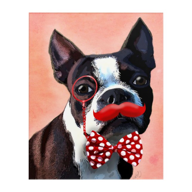 Boston Terrier Portrait with Red Bow Tie Acrylic Print (Front)