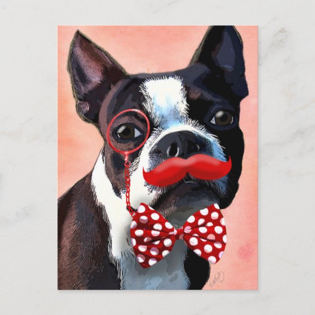 Boston Terrier Portrait with Red Bow Tie and 3 Postcard (Front)