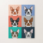 Boston Terrier Portraits