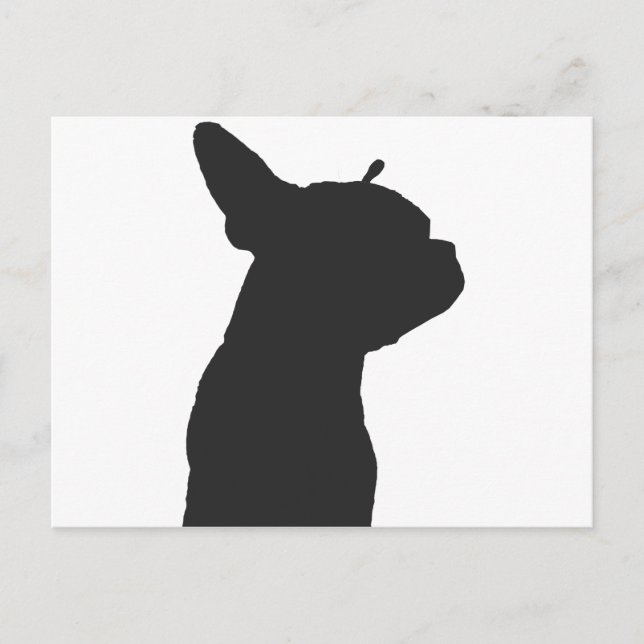 Boston Terrier Postcard (Front)