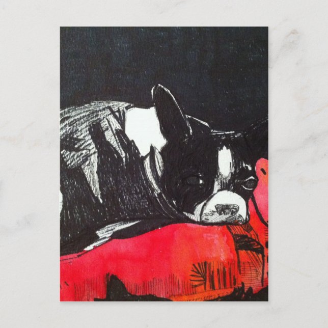 Boston Terrier Postcard (Front)
