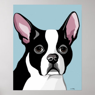 Boston Terrier Posters