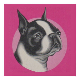 Boston terrier print