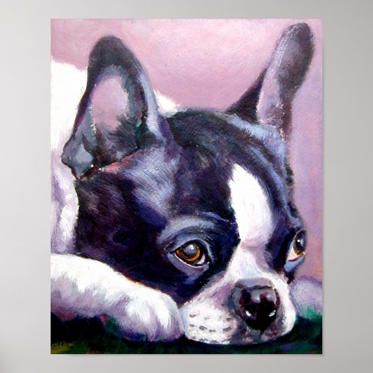 Boston Terrier Print Zazzle