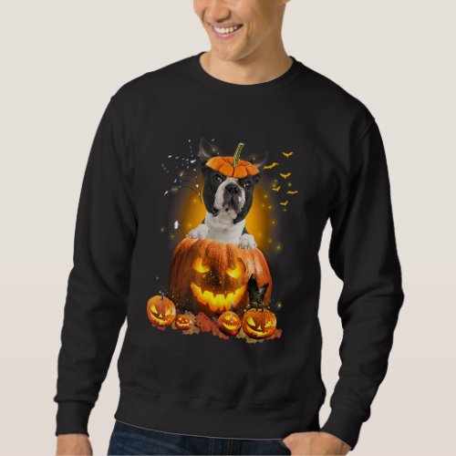 Boston Terrier Pumpkin   Cute Dog  Halloween Sweatshirt