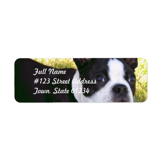 Boston Terrier Pup Mailing Labels