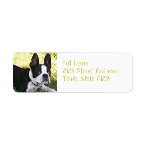 Boston Terrier Pup Mailing Labels