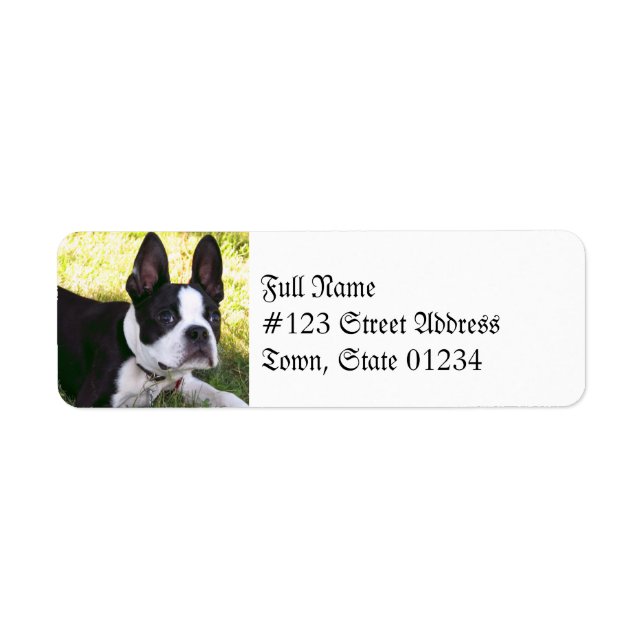 Boston Terrier Pup Mailing Labels (Front)