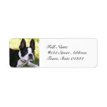 Boston Terrier Pup Mailing Labels