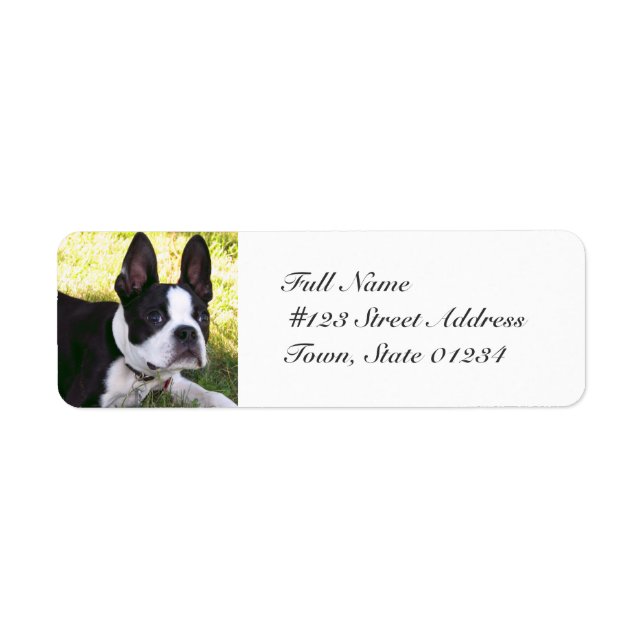 Boston Terrier Pup Mailing Labels (Front)