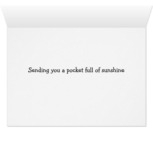 Boston Terrier Puppies (Inside Horizontal (Bottom))