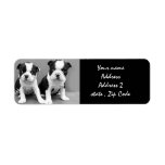 Boston Terrier Puppies Address Labels