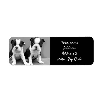 Boston Terrier Puppies Address Labels by ritmoboxer at Zazzle