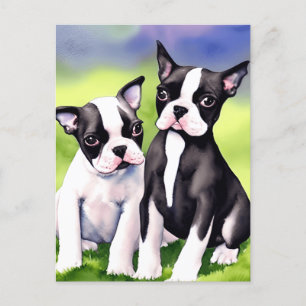 Boston Terrier Puppies Watercolor Postcard