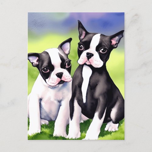 Boston Terrier Puppies Watercolor  Postcard