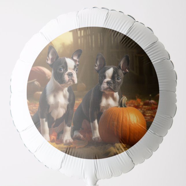 Boston Terrier Puppy Autumn Delight Pumpkin Balloon (Front)