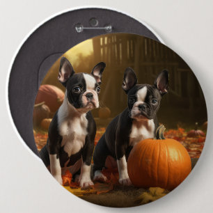 Boston Terrier Puppy Autumn Delight Pumpkin Button