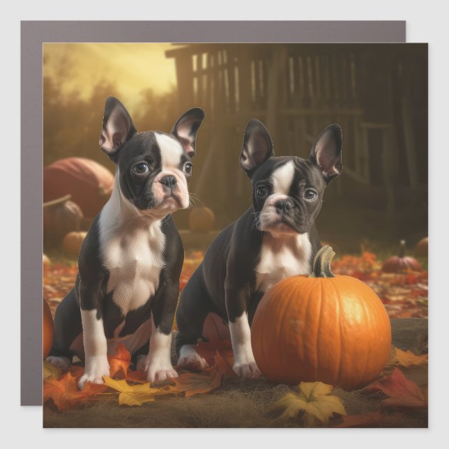 Boston Terrier Puppy Autumn Delight Pumpkin Car Magnet (Front)