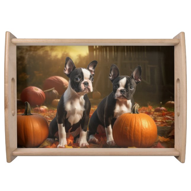Boston Terrier Puppy Autumn Delight Pumpkin Serving Tray (Front)