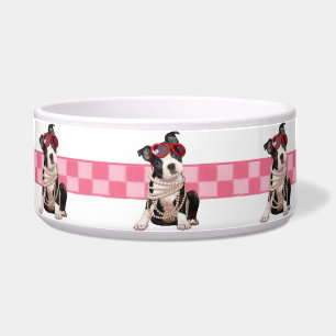 Boston Terrier Puppy Bowl