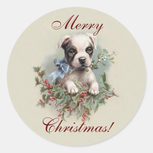 Boston Terrier Puppy _ Cute Dog Christmas Holiday Classic Round Sticker