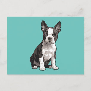 Boston Terrier Puppy Dog Postcard