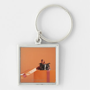 Boston terrier puppy in gift box keychain