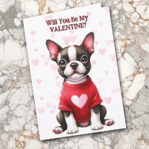 Boston Terrier Puppy in Sweater Valentine Holiday Card