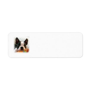 Boston Terrier Puppy Label
