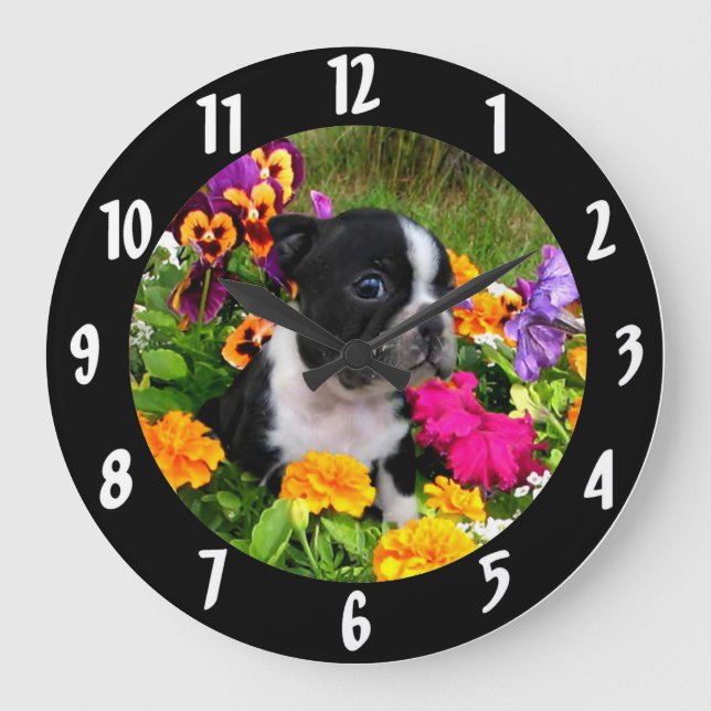 Boston Terrier puppy Large Clock (Front)