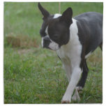 Boston Terrier Puppy Napkin