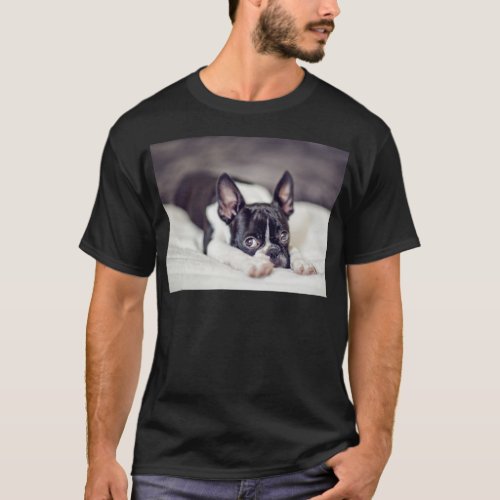 Boston Terrier Puppy T_Shirt