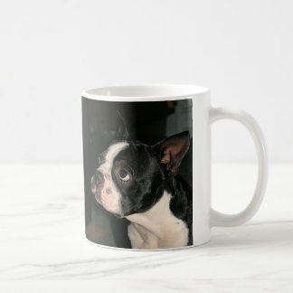 Boston Terrier raspberry Coffee Mug Cutie
