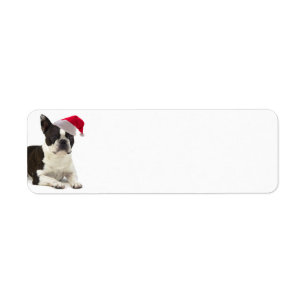 Boston Terrier Return Address Labels