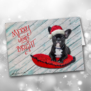 Boston Terrier Santa Hat Christmas Card