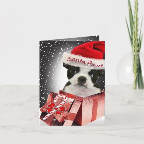 Boston Terrier Santa Paws Cards