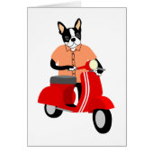 Boston Terrier  Scooter (Front)