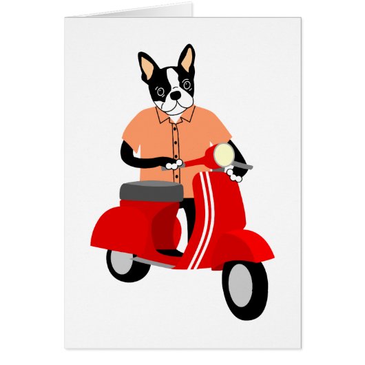 Boston Terrier Scooter Cards (Front)