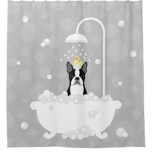 Boston Terrier Shower Curtain (Front)