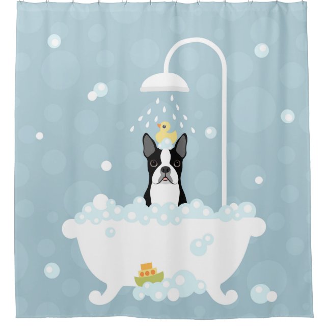 Boston Terrier Shower Curtain (Front)