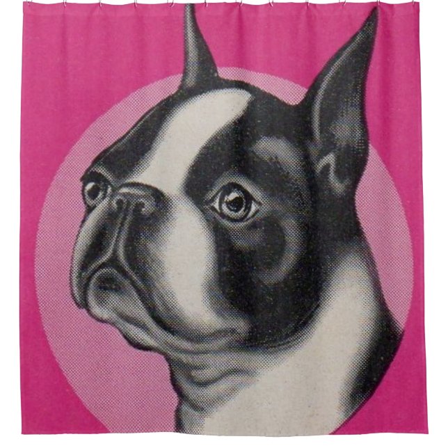 Boston terrier shower curtain (Front)