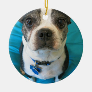 Boston Terrier sitting on a bed Ceramic Ornament