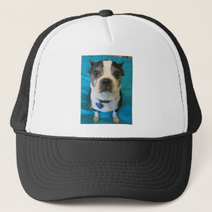 Boston Terrier sitting on a bed Trucker Hat