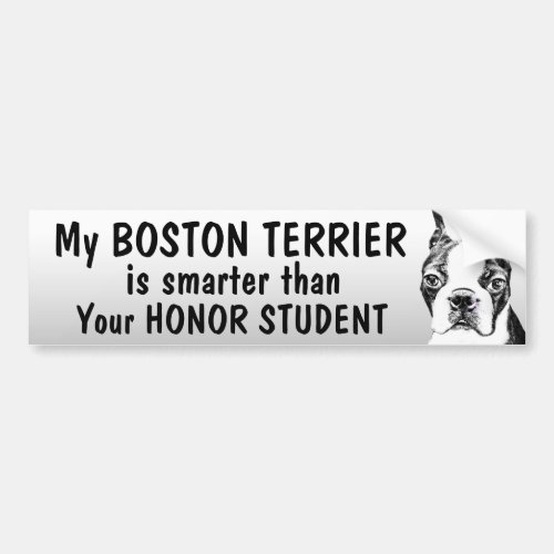 Boston Terrier _ Smarter than student _ funny Bumper Sticker