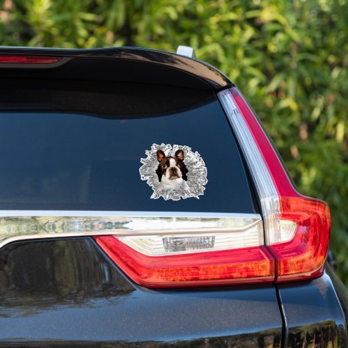 Boston Terrier smashed window sticker